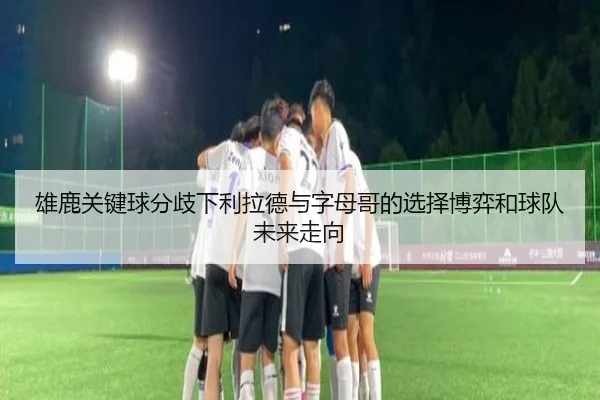 雄鹿关键球分歧下利拉德与字母哥的选择博弈和球队未来走向